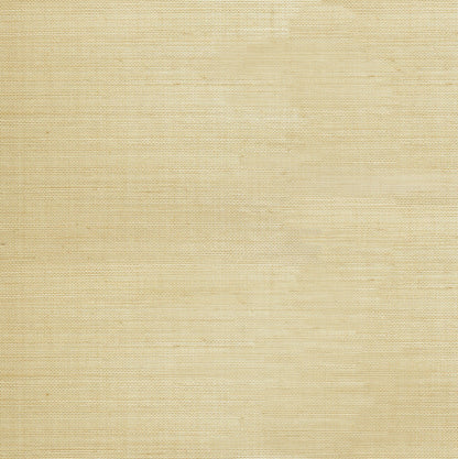 Kenneth James Chimon Khaki Paper Weave Wallpaper, 36-in by 24-ft