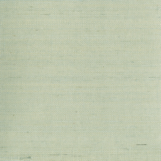 Kenneth James Mugen Light Green Grasscloth Wallpaper, 36-in by 24-ft