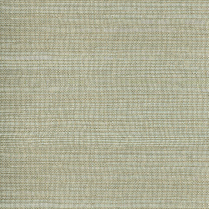 Kenneth James Myoki Neutral Grasscloth Wallpaper, 36-in by 24-ft