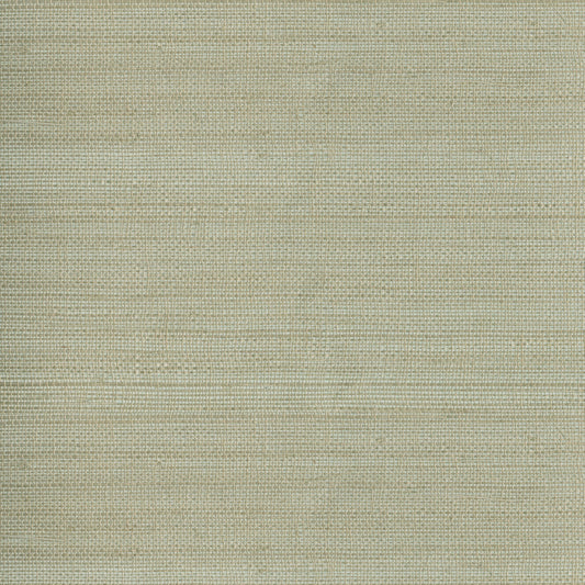 Kenneth James Myoki Neutral Grasscloth Wallpaper, 36-in by 24-ft