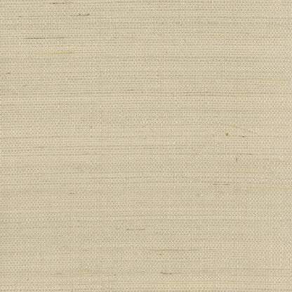 Kenneth James Han Me Champagne Sisal Grasscloth Wallpaper, 36-in by 24-ft