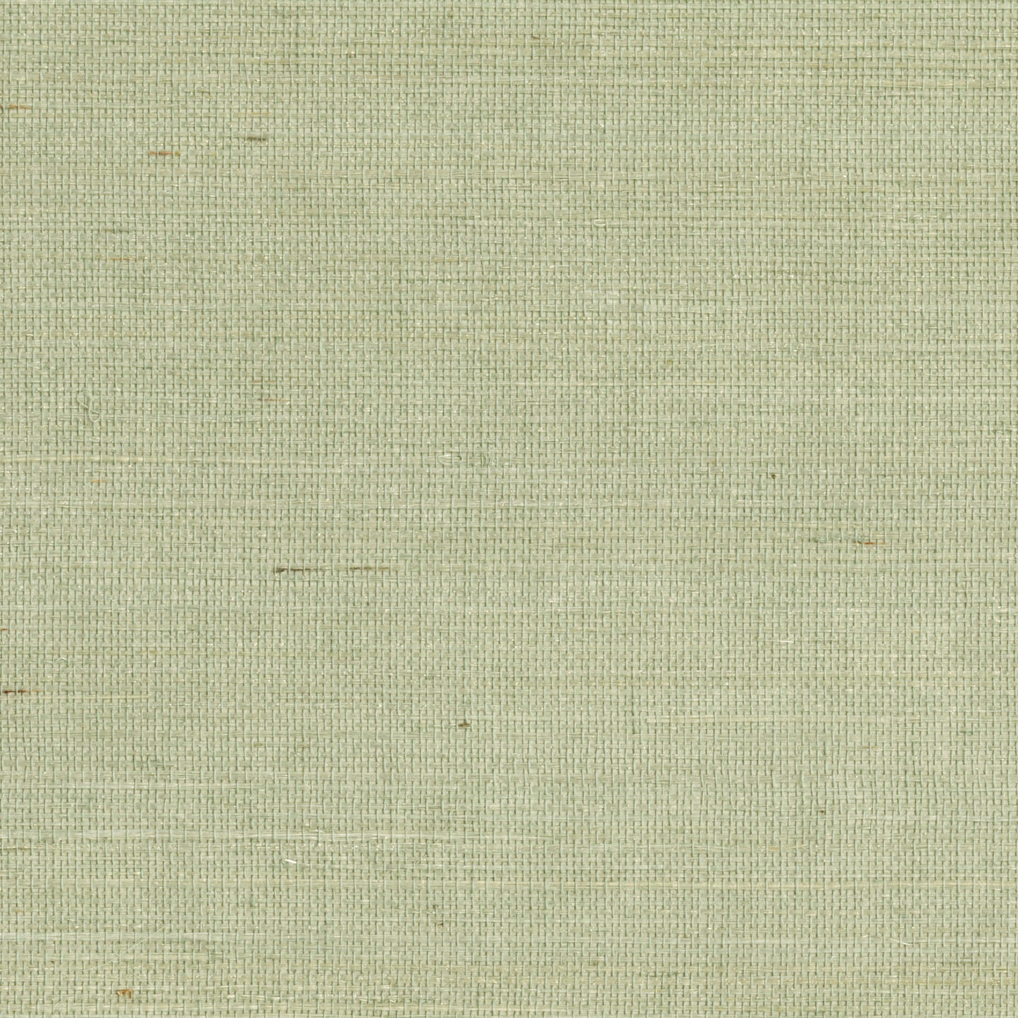 Kenneth James Popun Light Green Sisal Grasscloth Wallpaper, 36-in by 24-ft