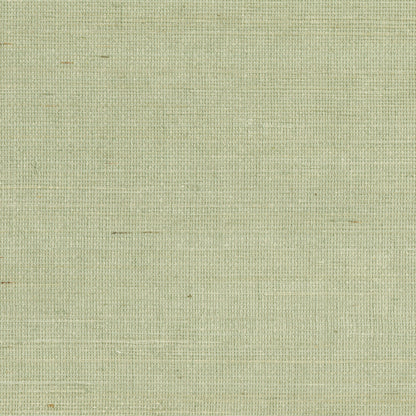 Kenneth James Popun Light Green Sisal Grasscloth Wallpaper, 36-in by 24-ft