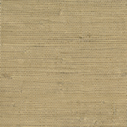 Kenneth James Chuso Wheat Grasscloth Wallpaper, 36-in by 24-ft