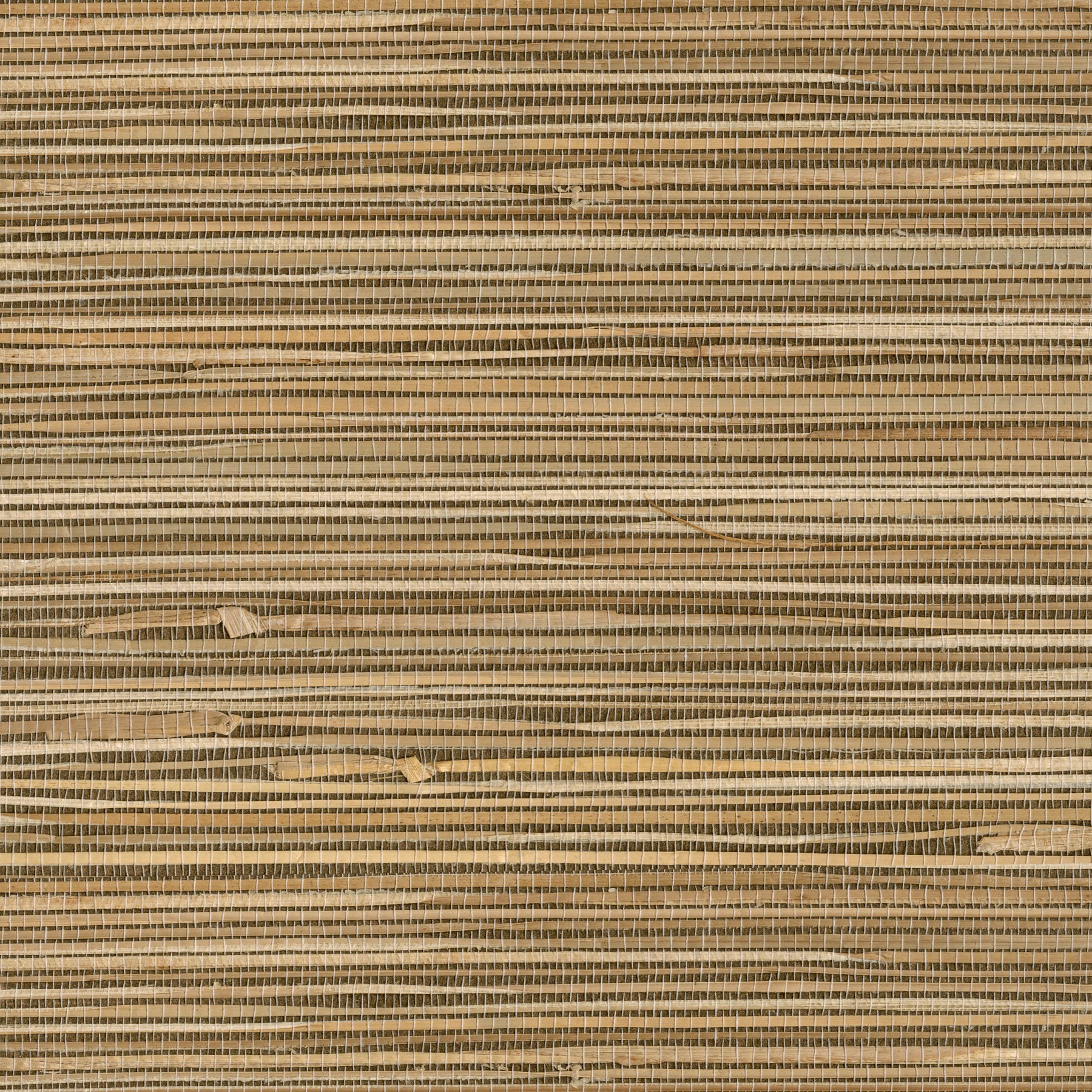 Kenneth James Seiju Wheat Grasscloth Wallpaper, 36-in by 24-ft