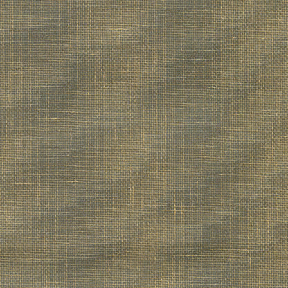 Kenneth James Leyte Pewter Grasscloth Wallpaper, 36-in by 24-ft