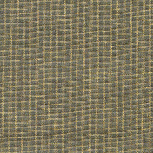 Kenneth James Leyte Pewter Grasscloth Wallpaper, 36-in by 24-ft