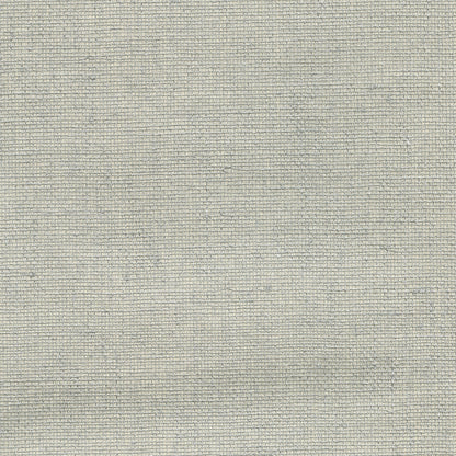 Kenneth James Leyte Silver Grasscloth Wallpaper, 36-in by 24-ft