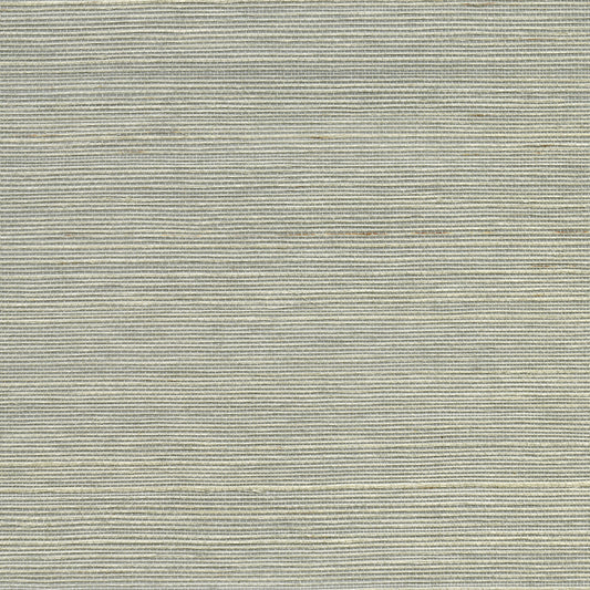 Kenneth James Lucena Grey Sisal Grasscloth Wallpaper, 36-in by 24-ft