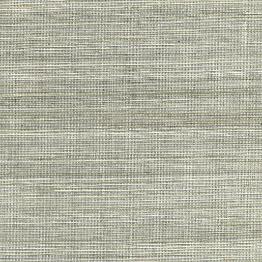 Kenneth James Nathan Silver Grasscloth Wallpaper, 36-in by 24-ft