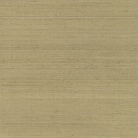 Kenneth James Luoma Light Brown Sisal Grasscloth Wallpaper, 36-in by 24-ft