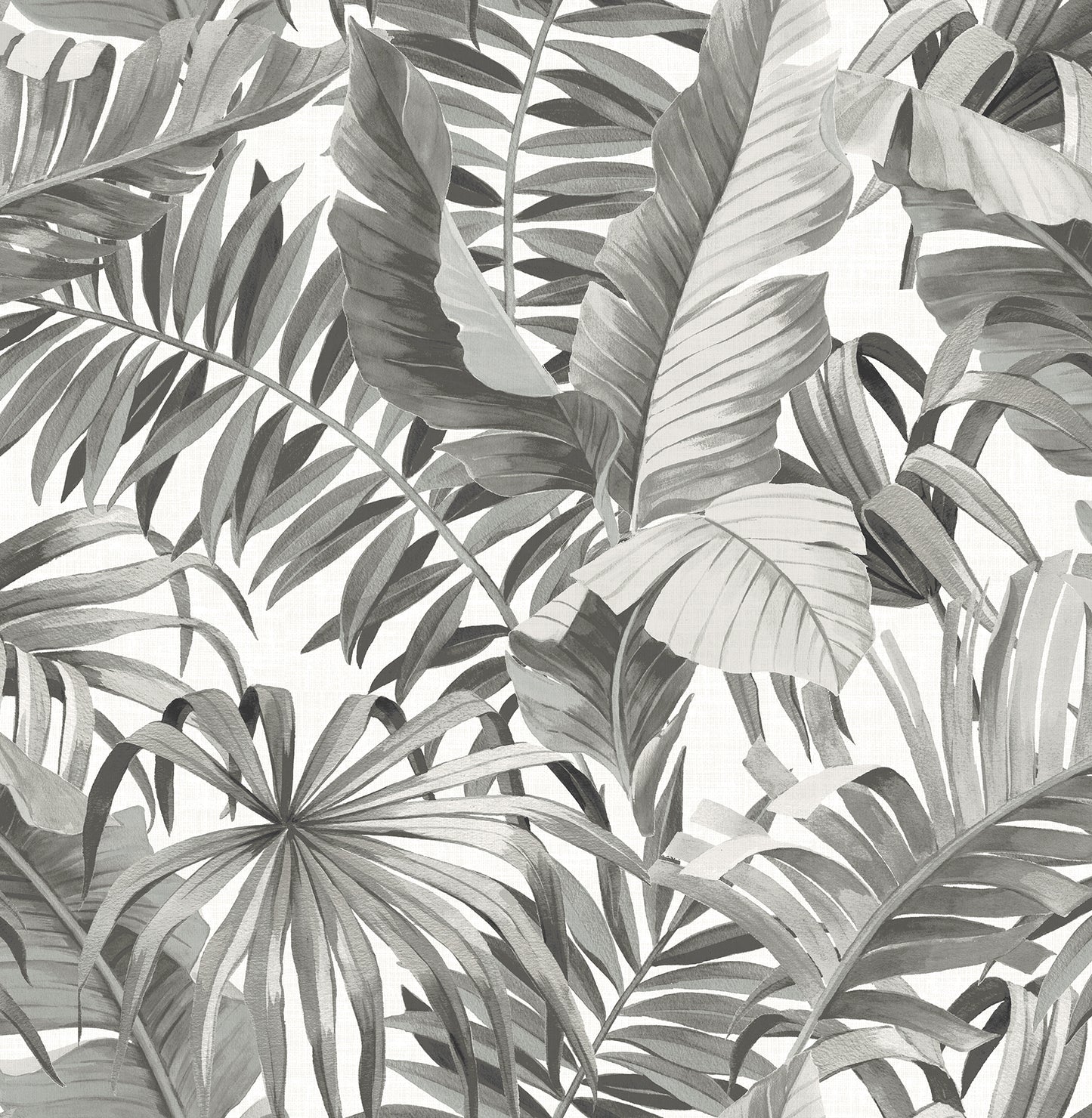 A-Street Prints Alfresco Black Palm Leaf Wallpaper, 20.5-in by 33-ft