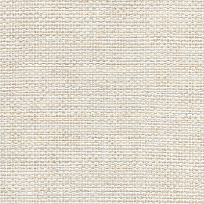 Warner Textures Caviar Platinum Basketweave Wallpaper, 27-in by 27-ft