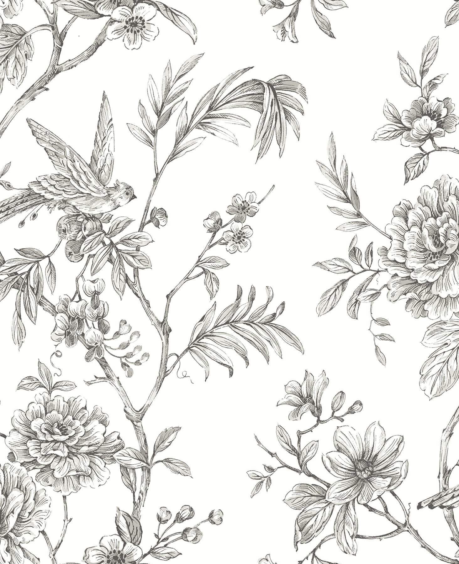 A-Street Prints Jessamine Grey Floral Trail Wallpaper, 20.5-in by 33-ft