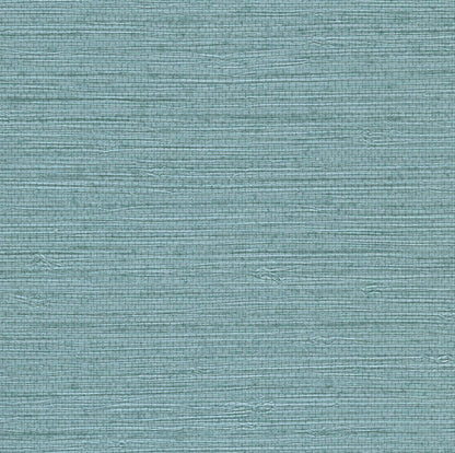 Warner Textures Bali Blue Seagrass Wallpaper, 27-in by 27-ft