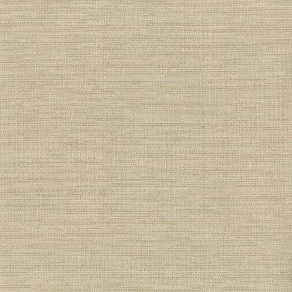 Warner Textures Cape Town Beige Faux Silk Wallpaper, 27-in by 27-ft