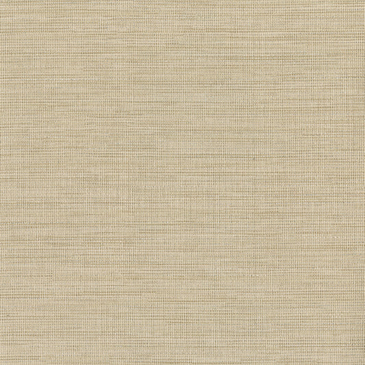 Warner Textures Cape Town Beige Faux Silk Wallpaper, 27-in by 27-ft