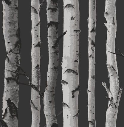 Fine Decor Distinctive Black Birch Tree Wallpaper, 20.5-in by 33-ft