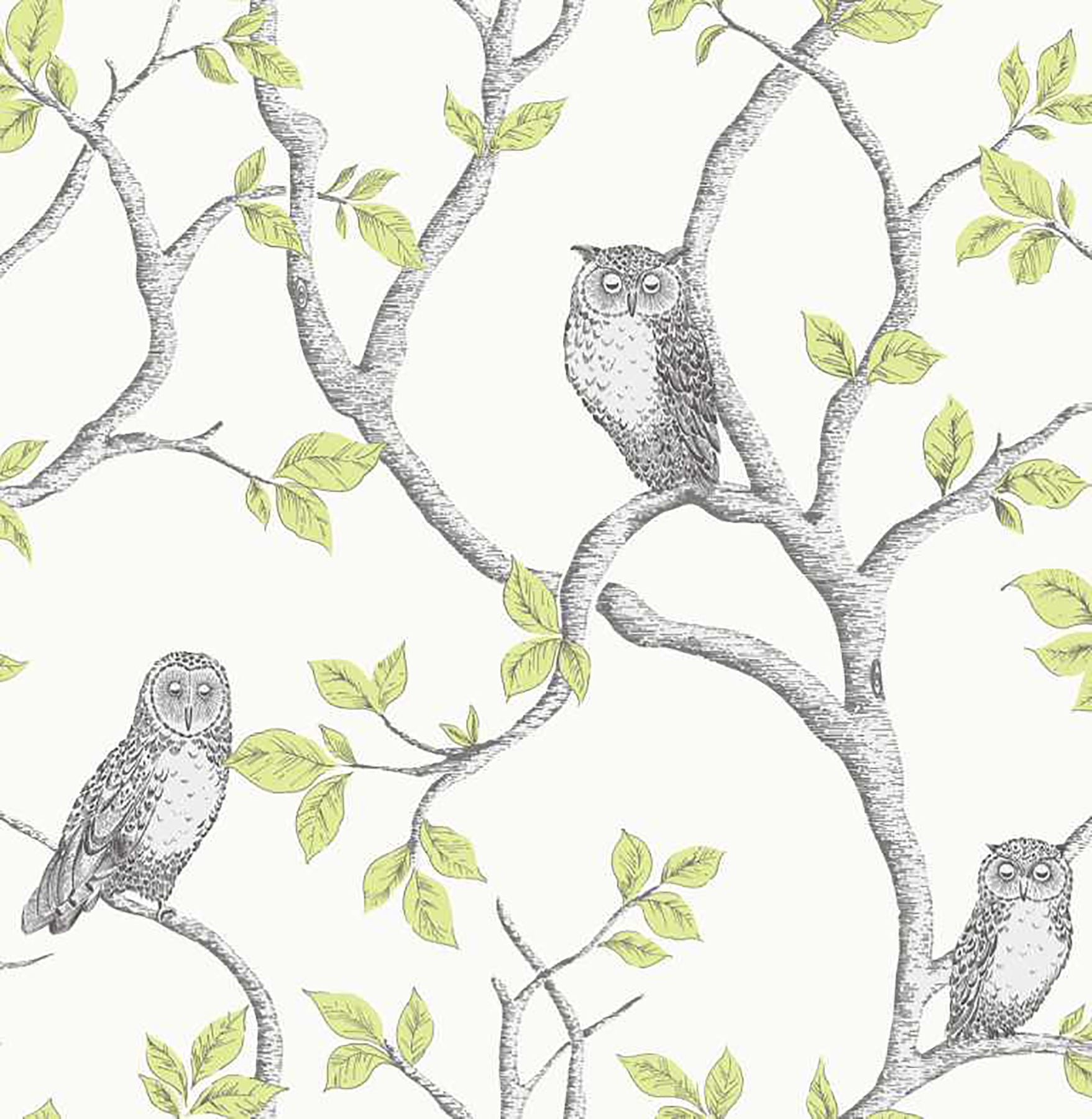 Fine Decor Linden Green Owl Wallpaper, 20.5-in by 33-ft