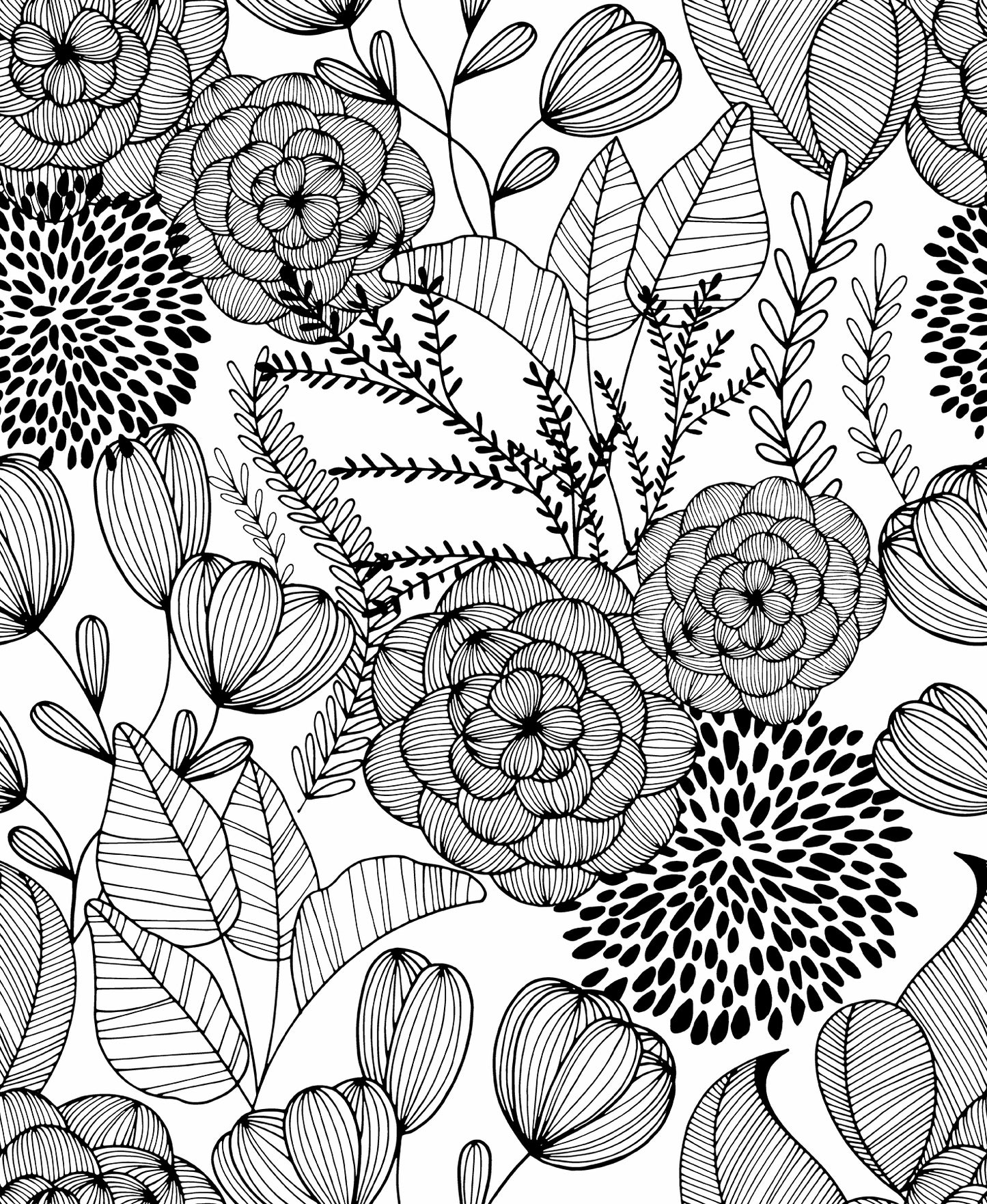 A-Street Prints Alannah Black Botanical Wallpaper, 20.5-in by 33-ft