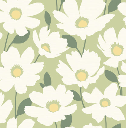 Brewster Astera Green Floral Wallpaper, 20.5-in by 33-ft