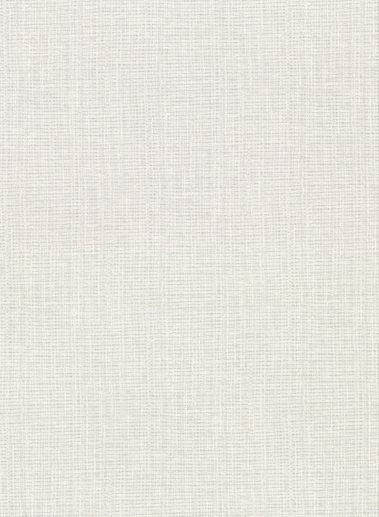 Warner Claremont Light Grey Faux Grasscloth Wallpaper, 27-in by 27-ft