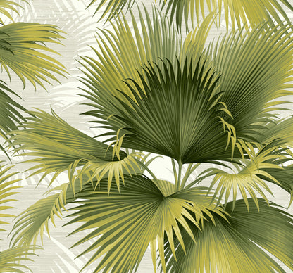 A-Street Prints Summer Palm Green Tropical Wallpaper, 27-in by 27-ft