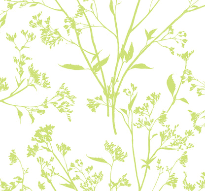 A-Street Prints Southport Chartreuse Delicate Branches Wallpaper, 27-in by 27-ft