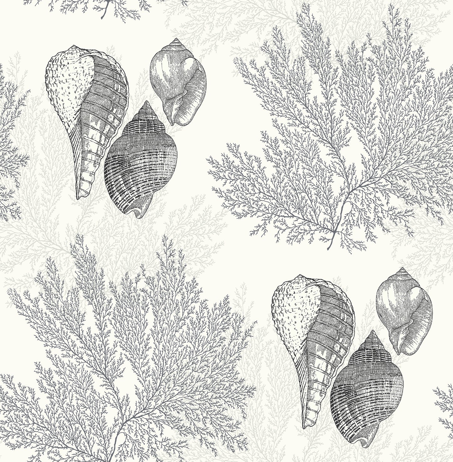 A-Street Prints Nauset Black Seashell Shores Wallpaper, 20.5-in by 33-ft