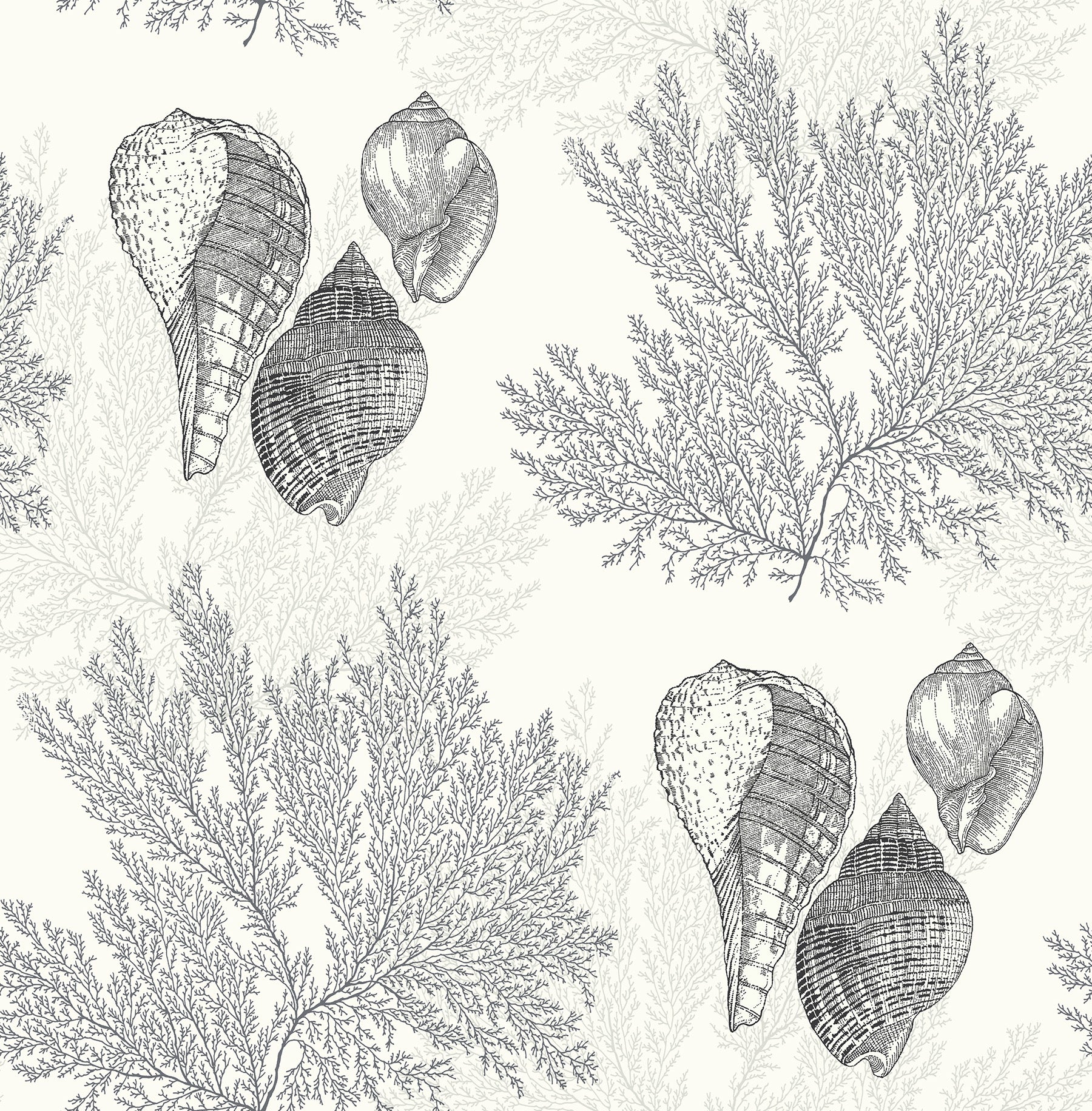 A-Street Prints Nauset Black Seashell Shores Wallpaper, 20.5-in by 33-ft