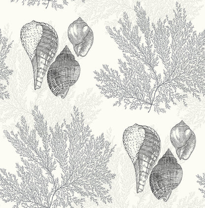 A-Street Prints Nauset Black Seashell Shores Wallpaper, 20.5-in by 33-ft