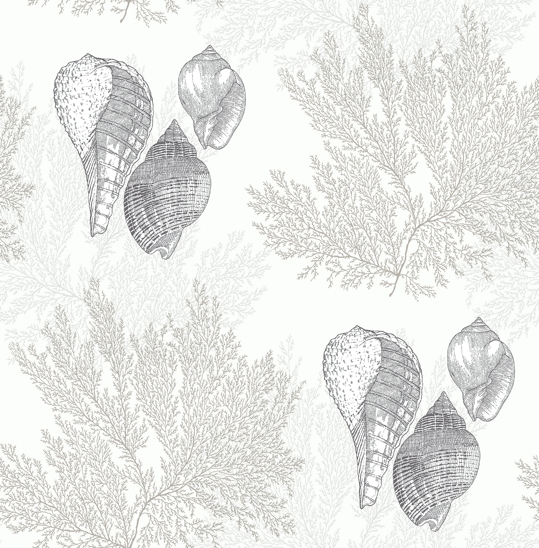 A-Street Prints Nauset Cream Seashell Shores Wallpaper, 20.5-in by 33-ft