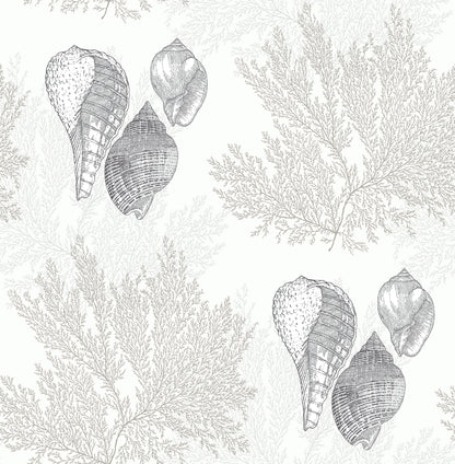 A-Street Prints Nauset Cream Seashell Shores Wallpaper, 20.5-in by 33-ft