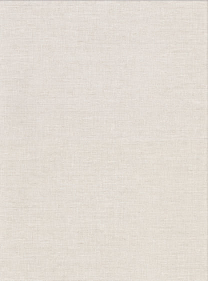 Warner Avatar White Texture Wallpaper, 27-in by 27-ft