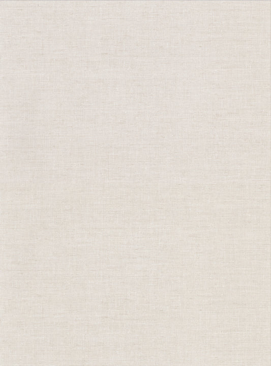 Warner Avatar White Texture Wallpaper, 27-in by 27-ft