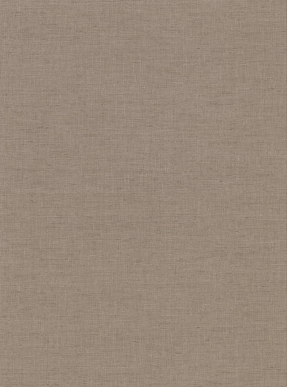 Warner Avatar Brown Texture Wallpaper, 27-in by 27-ft