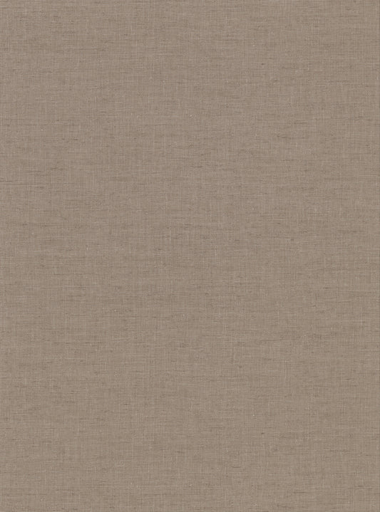 Warner Avatar Brown Texture Wallpaper, 27-in by 27-ft