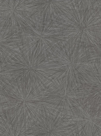 Warner Majestic Black Starburst Wallpaper, 27-in by 27-ft