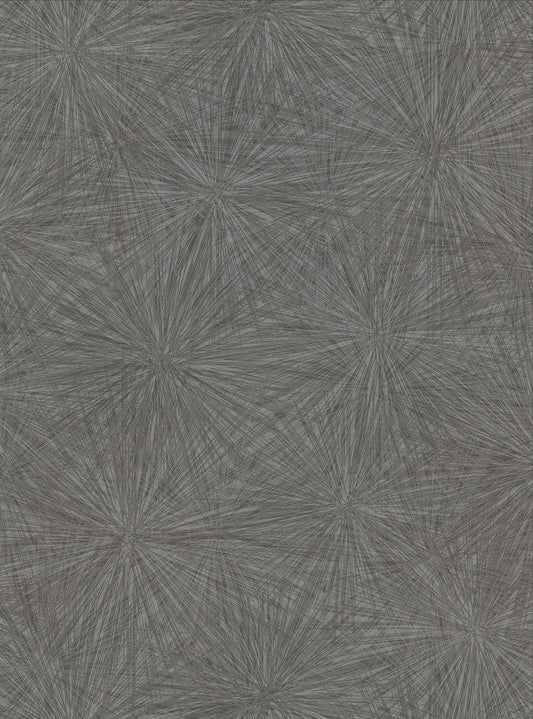 Warner Majestic Black Starburst Wallpaper, 27-in by 27-ft