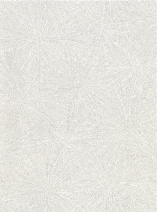 Warner Majestic Silver Starburst Wallpaper, 27-in by 27-ft