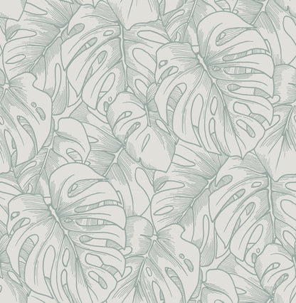 A-Street Prints Balboa Olive Botanical Wallpaper, 20.5-in by 33-ft