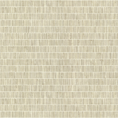 Warner Luz Taupe Faux Grasscloth Wallpaper, 27-in by 27-ft