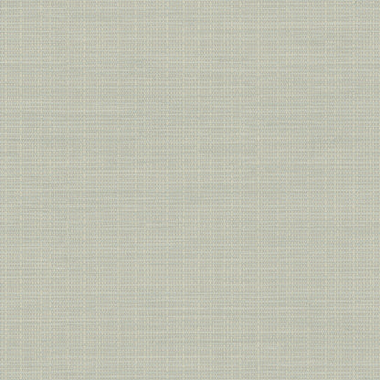 Chesapeake Kent Beige Grasscloth Wallpaper, 20.5-in by 33-ft