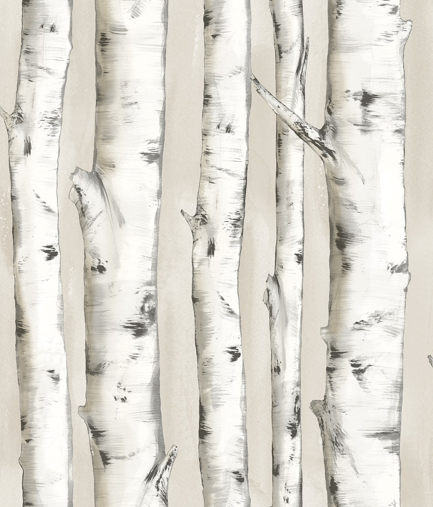 Chesapeake Pioneer Off White Birch Tree Wallpaper, 20.5-in by 33-ft