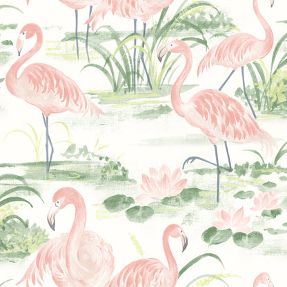 Chesapeake Everglades Coral Flamingos Wallpaper, 20.5-in by 33-ft