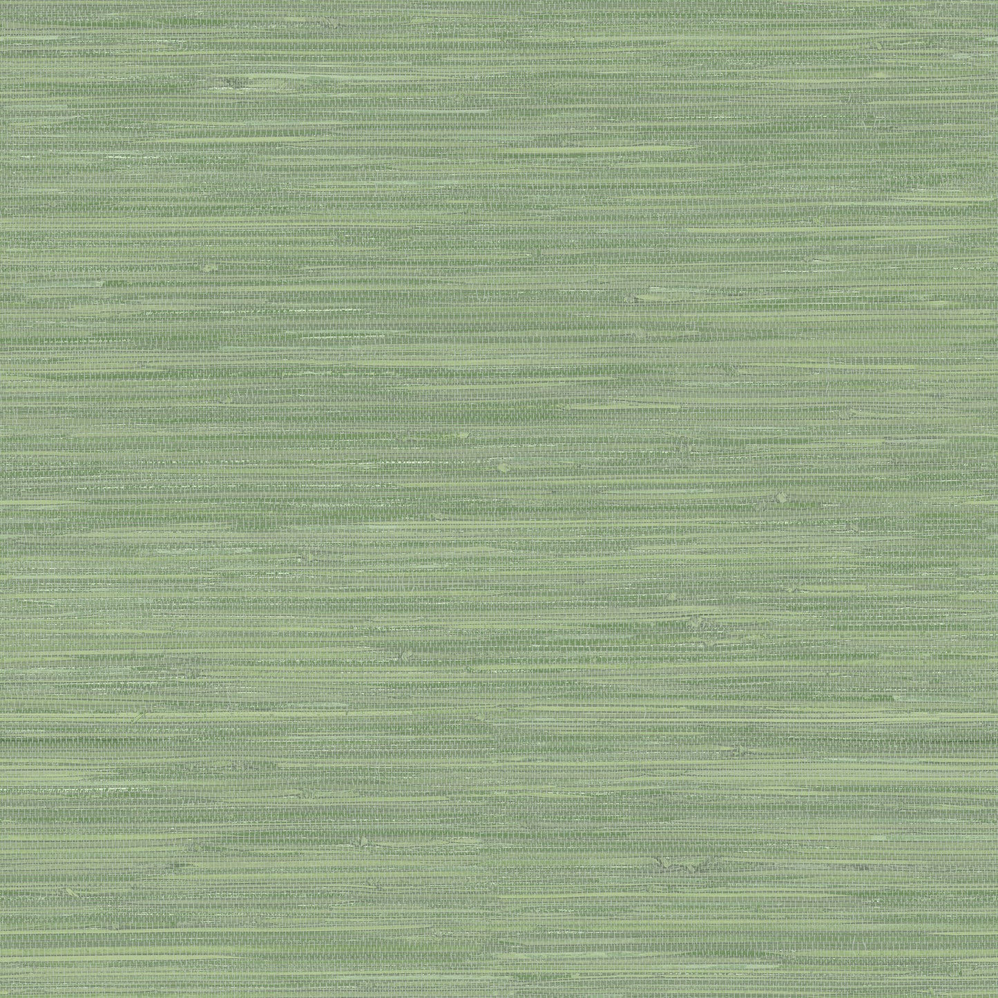 Chesapeake Waverly Green Grasscloth Wallpaper, 20.5-in by 33-ft