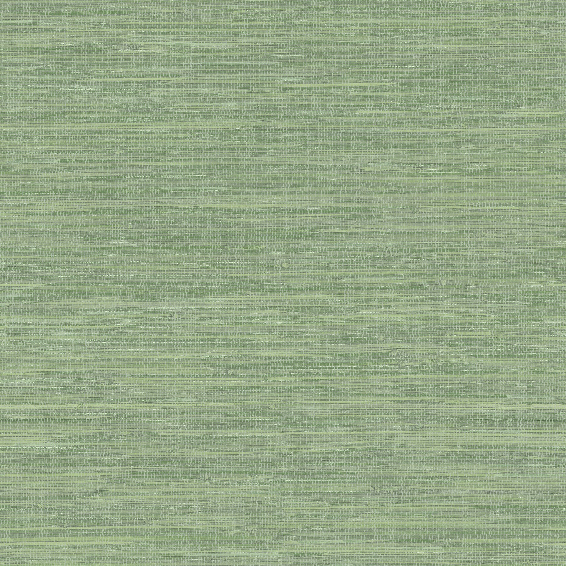 Chesapeake Waverly Green Grasscloth Wallpaper, 20.5-in by 33-ft