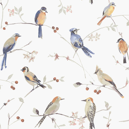 Chesapeake Birdsong Orange Trail Wallpaper, 20.5-in by 33-ft