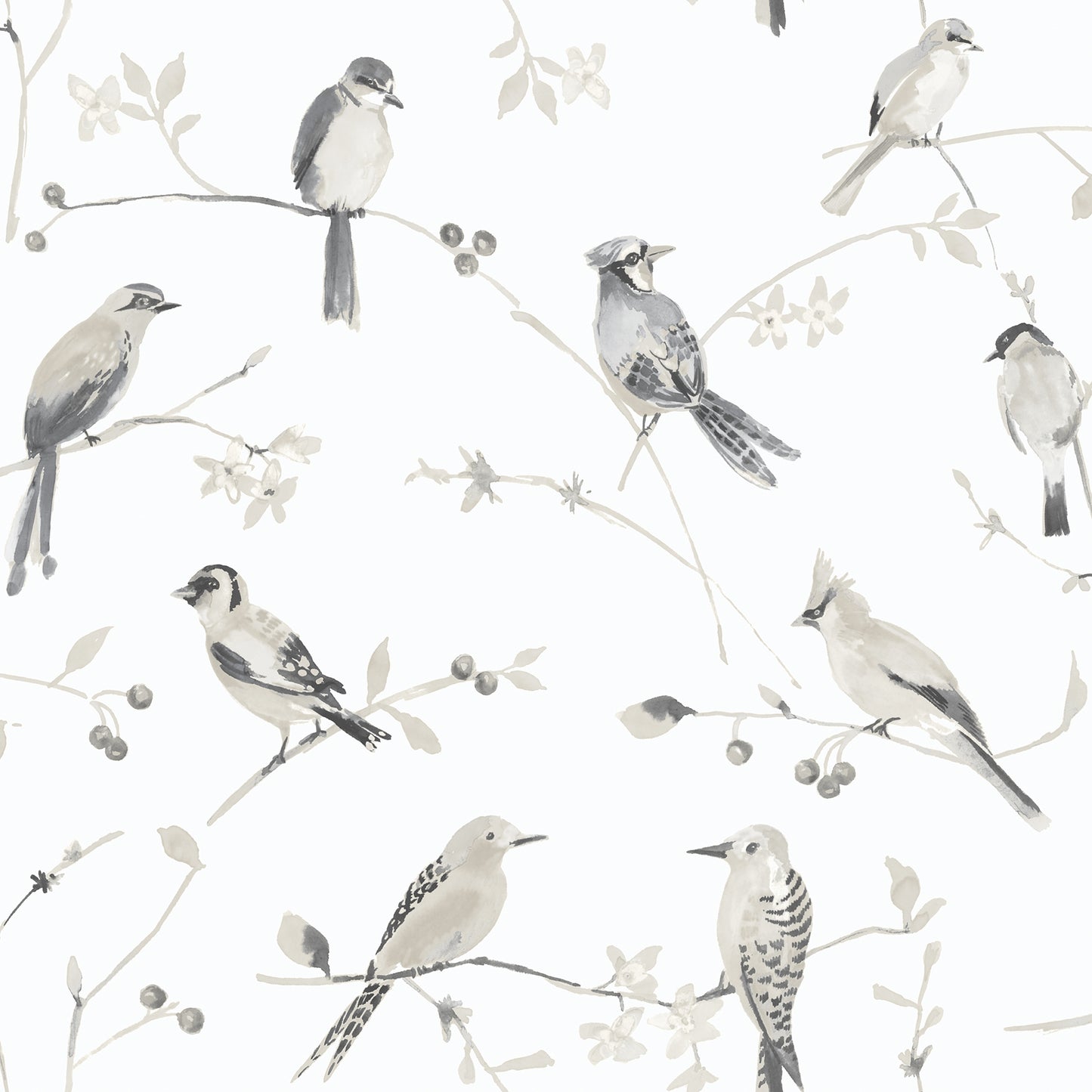 Chesapeake Birdsong Grey Trail Wallpaper, 20.5-in by 33-ft