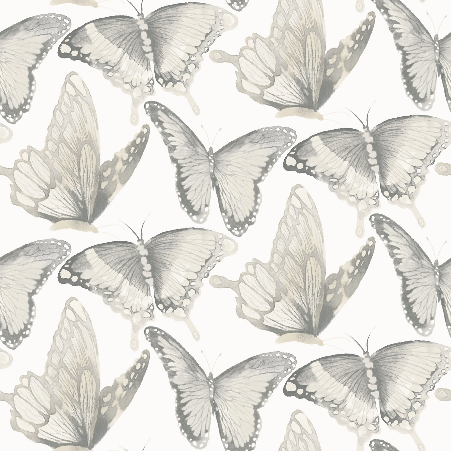 Chesapeake Janetta Grey Butterfly Wallpaper, 20.5-in by 33-ft